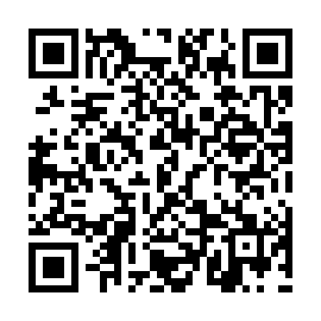 QR code for TTL381