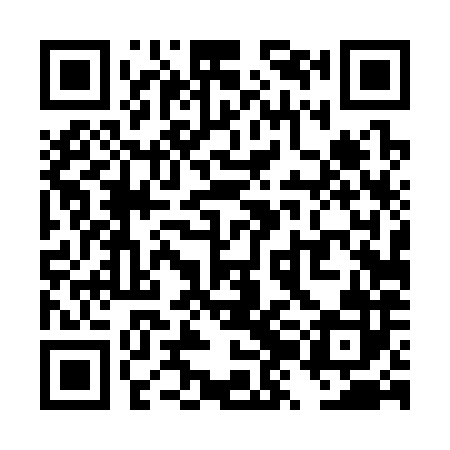 QR code for TZD382