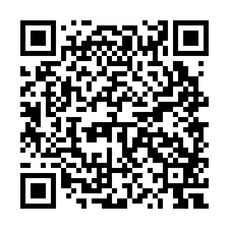 QR code for TZP383