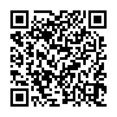 QR code for UDD243