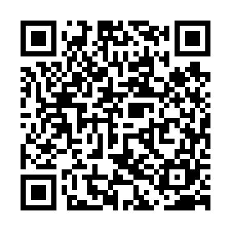 QR code for UDE665