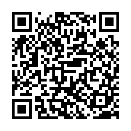 QR code for UDG341
