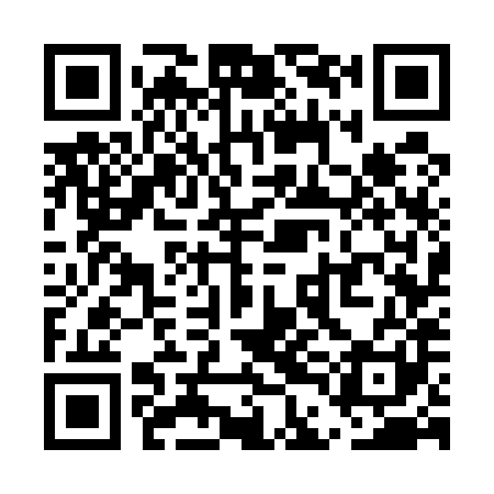 QR code for UDG581