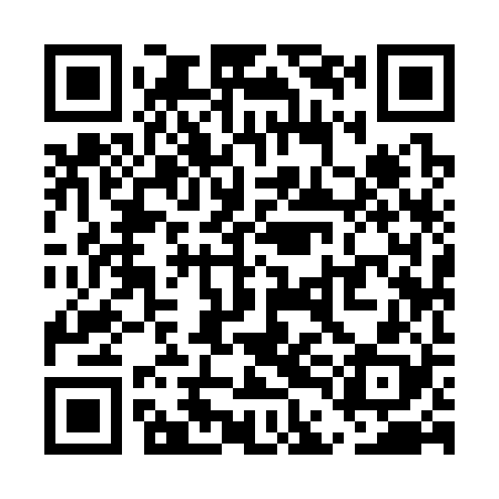 QR code for UDI328