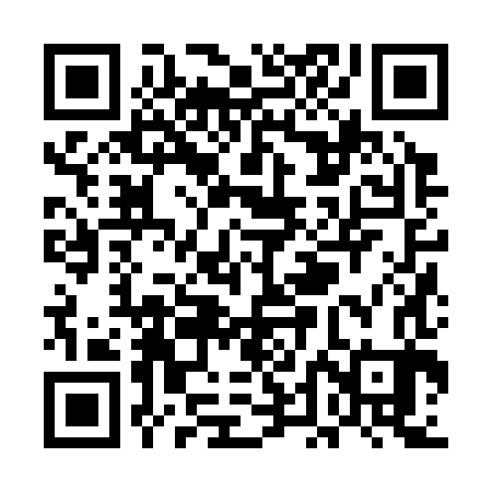 QR code for UDJ383