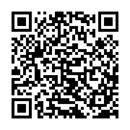 QR code for UDP007