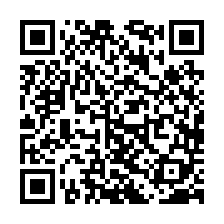 QR code for UDP249