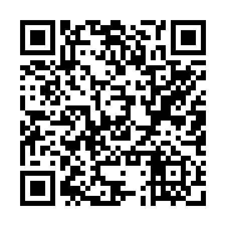QR code for UDU259