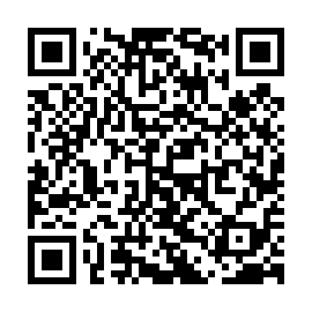 QR code for UDV419