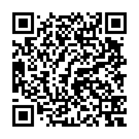 QR code for UDX439