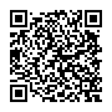 QR code for UDX456