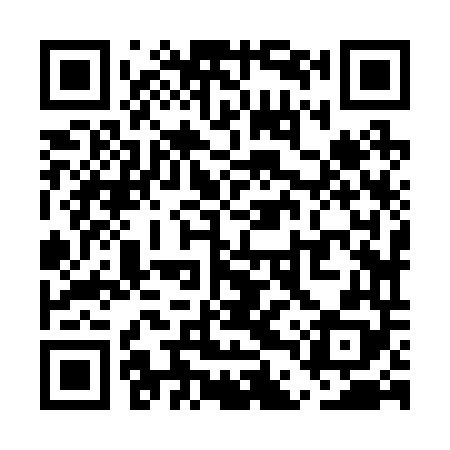 QR code for UDZ248