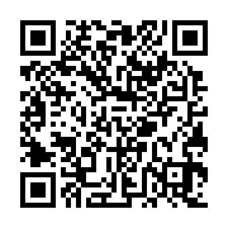 QR code for UFG333