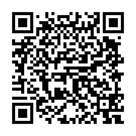 QR code for ULI498