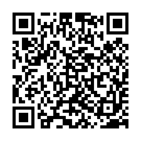 QR code for UPC493