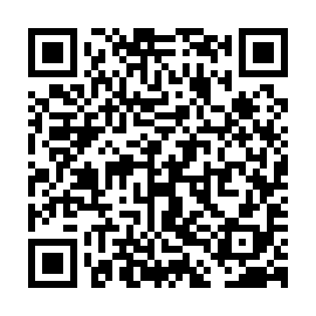 QR code for VDG198