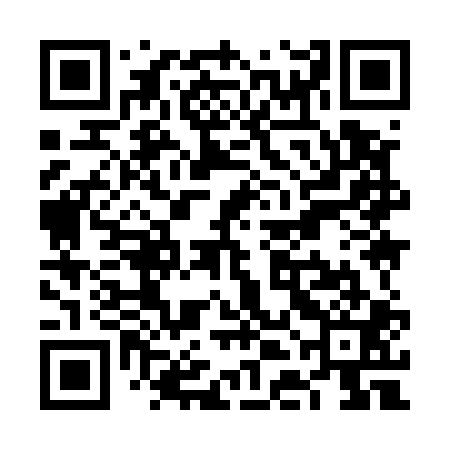 QR code for VDI501