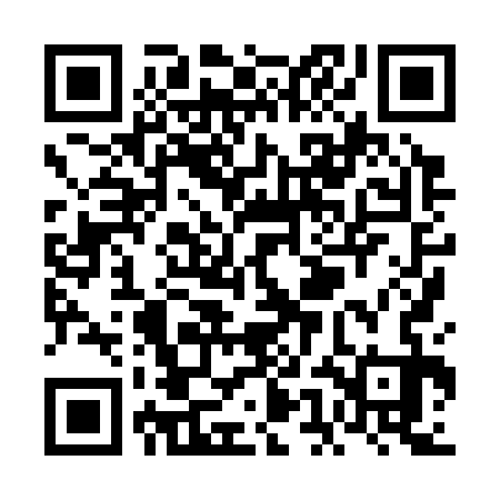 QR code for VEH333