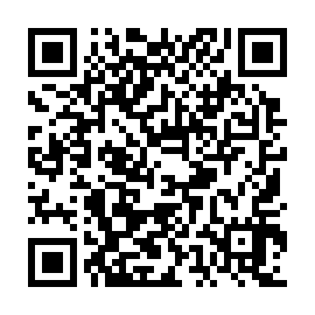 QR code for VEI317