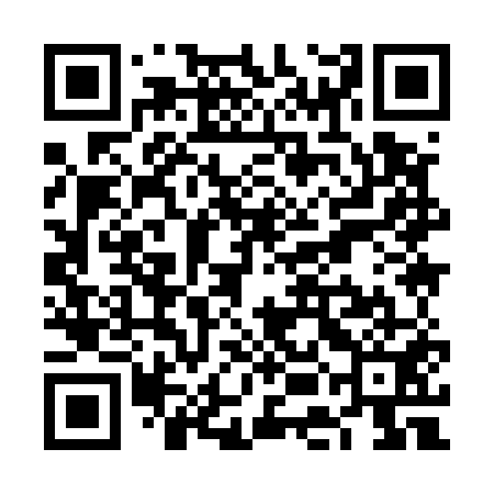 QR code for VEI551