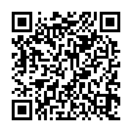 QR code for VET333