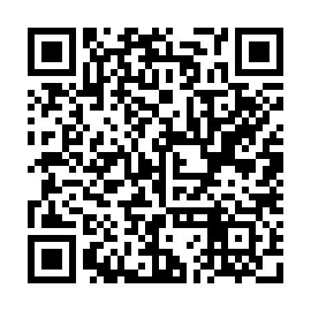 QR code for VFG383