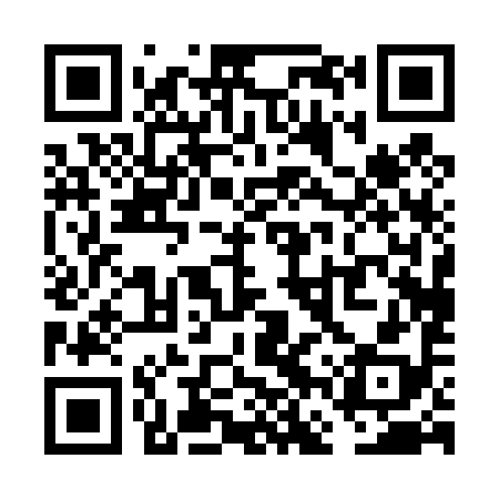 QR code for VFP498