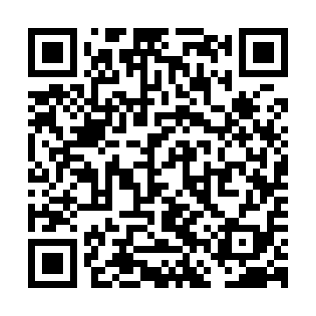 QR code for VFS919