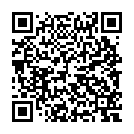 QR code for VGL313