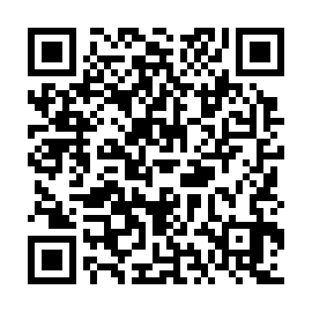QR code for VIL333
