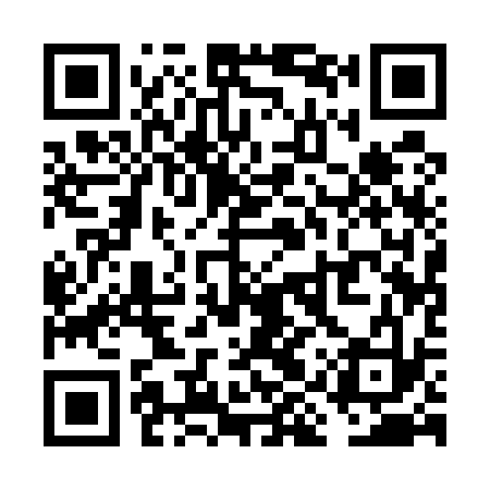 QR code for VIQ533
