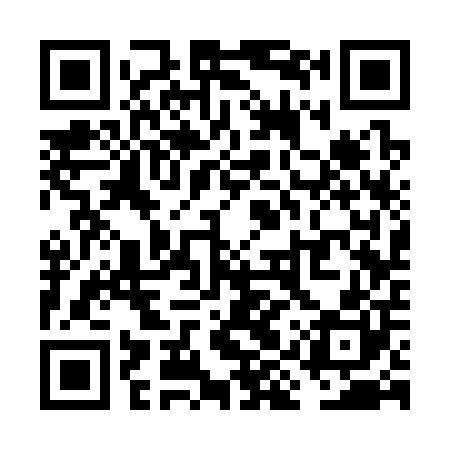 QR code for VIS300