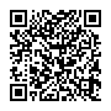 QR code for VIU339