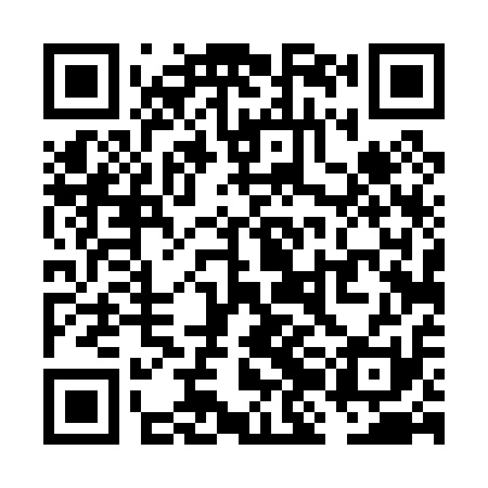 QR code for VJD011