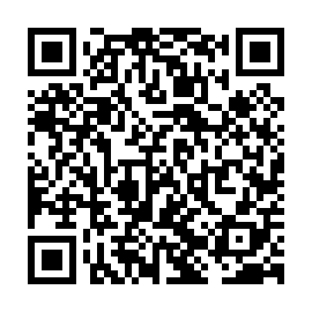QR code for VJV008