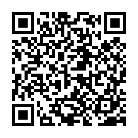 QR code for VKO460