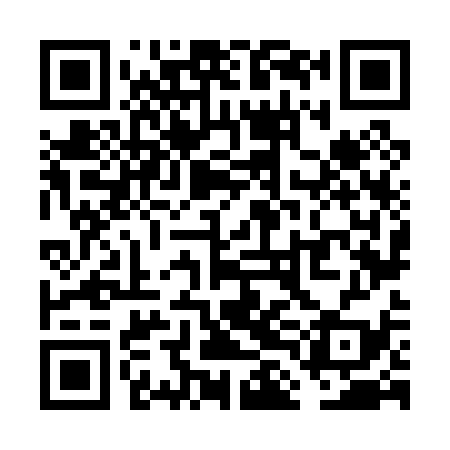 QR code for VLN039