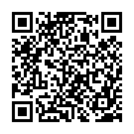 QR code for VMG456
