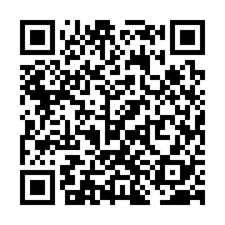QR code for VNE328