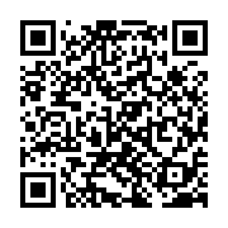 QR code for VNM919