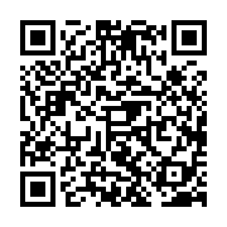 QR code for VNP919