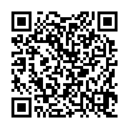QR code for VNX384