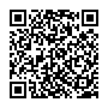 QR code for VPG511