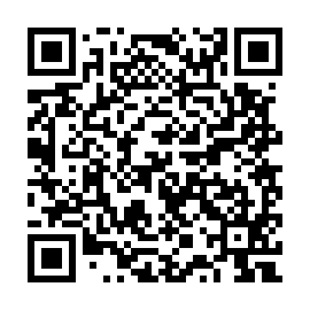 QR code for VPR595