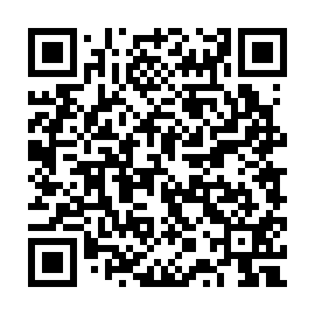 QR code for VPT311