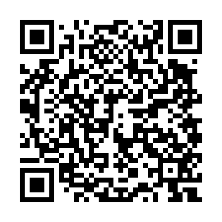 QR code for VPV453