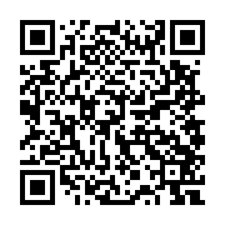 QR code for VPV543