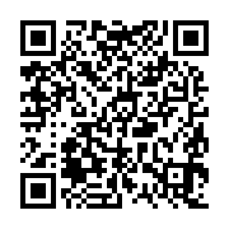 QR code for VSS991