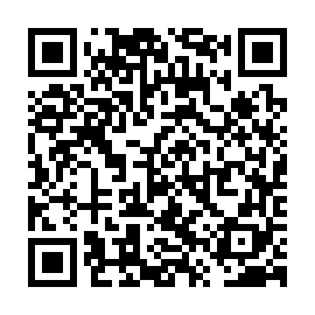 QR code for VVS368