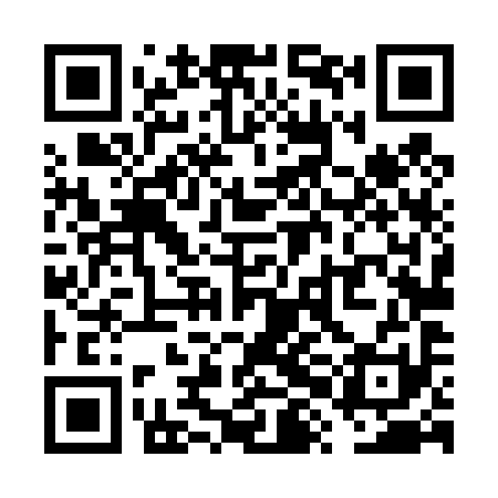 QR code for VXL491